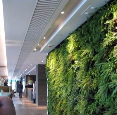 重庆垂直绿化 从自然植物墙到仿真绿墙的园林工程设计探索
